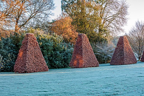ROCKCLIFFE_GARDEN_GLOUCESTERSHIRE_VIEW_ACROSS_LAWN_AT_SUNRISE_WITH_CLIPPED_BEECH_OBELISKS_ENGLISH_CO