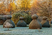 ROCKCLIFFE GARDEN, GLOUCESTERSHIRE: SUNRISE, ENGLISH, COUNTRY, GARDEN, WINTER, FROST, CLIPPED TOPIARY YEW, FROSTY, FROST, LAWN