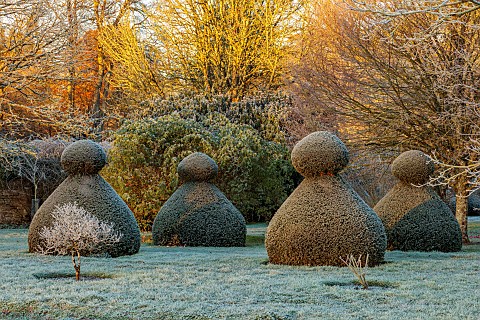 ROCKCLIFFE_GARDEN_GLOUCESTERSHIRE_SUNRISE_ENGLISH_COUNTRY_GARDEN_WINTER_FROST_CLIPPED_TOPIARY_YEW_FR
