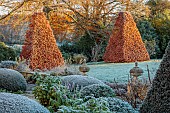 ROCKCLIFFE GARDEN, GLOUCESTERSHIRE: VIEW ACROSS LAWN AT SUNRISE WITH CLIPPED BEECH OBELISKS. ENGLISH, COUNTRY, GARDEN, WINTER, FROST, SUNRISE, CLIPPED YEW TOPIARY