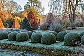 ROCKCLIFFE GARDEN, GLOUCESTERSHIRE: SUNRISE, ENGLISH, COUNTRY, GARDEN, WINTER, FROST, CLIPPED TOPIARY BOX, FROSTY, FROST, LAWN