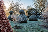 ROCKCLIFFE GARDEN, GLOUCESTERSHIRE: FROST, FROSTY, ENGLISH, COUNTRY, GARDEN, WINTER, SUNRISE. CLIPPED TOPIARY YEW, LAWN