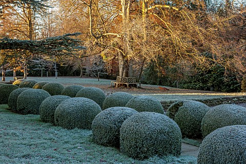 ROCKCLIFFE_GARDEN_GLOUCESTERSHIRE_SUNRISE_ENGLISH_COUNTRY_GARDEN_WINTER_FROST_CLIPPED_TOPIARY_BOX_FR