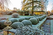 ROCKCLIFFE GARDEN, GLOUCESTERSHIRE: SUNRISE, ENGLISH, COUNTRY, GARDEN, WINTER, FROST, CLIPPED TOPIARY BOX, FROSTY, FROST, LAWN, CEDAR OF LEBANON