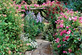 PERGOLA OVER PATH WITH ROSE MINNEHAHA & ALOHA CAMPANULA LACTIFLORA CLEMATIS ROYAL VELOURS. SLEIGHTHOLME DALE LODGE  NORTH YORKSHIRE