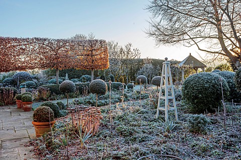 ORDNANCE_HOUSE_WILTSHIRE_FROST_FROSTY_WINTER_CLIPPED_TOPIARY_STANDARDS_PORTUGUESE_LAUREL_PRIVET_FORM