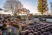 ORDNANCE HOUSE, WILTSHIRE: FROST, FROSTY, WINTER, CLIPPED TOPIARY STANDARDS, PORTUGUESE LAUREL, PRIVET, FORMAL, COUNTRY, GARDEN, GRAVEL, PATHS, HEDGES, HEDGING, LAVENDER