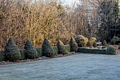 ORDNANCE HOUSE, WILTSHIRE: FROST, FROSTY, WINTER, LAWN, BOX CONES, BOX HEDGING, HEDGES