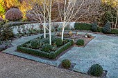 ORDNANCE HOUSE, WILTSHIRE: FROST, FROSTY, WINTER, LAWN, BOX BALLS, BOX HEDGING, HEDGES, WEST HIMALAYAN BIRCH, TREES, BETULA UTILIS SUBSP. JACQUEMONTII, WALLS
