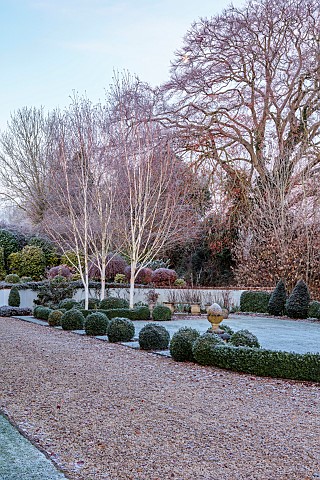 ORDNANCE_HOUSE_WILTSHIRE_FROST_FROSTY_WINTER_LAWN_BOX_BALLS_BOX_HEDGING_HEDGES_WEST_HIMALAYAN_BIRCH_