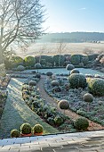 ORDNANCE HOUSE, WILTSHIRE: FROST, FROSTY, WINTER, CLIPPED TOPIARY STANDARDS, PORTUGUESE LAUREL, PRIVET, FORMAL, COUNTRY, GARDEN, GRAVEL, PATHS, HEDGES, HEDGING