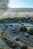 ORDNANCE HOUSE, WILTSHIRE: FROST, FROSTY, WINTER, CLIPPED TOPIARY STANDARDS, PORTUGUESE LAUREL, PRIVET, FORMAL, COUNTRY, GARDEN, GRAVEL, PATHS, HEDGES, HEDGING