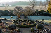 ORDNANCE HOUSE, WILTSHIRE: FROST, FROSTY, WINTER, CLIPPED TOPIARY STANDARDS, PORTUGUESE LAUREL, PRIVET, FORMAL, COUNTRY, GARDEN, PATHS, HEDGES, HEDGING, CRATAEGUS PRUNIFOLIA