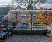 ORDNANCE HOUSE, WILTSHIRE: FROST, FROSTY, WINTER, POTAGER, VEGETABLE GARDEN, PLEACHED HORNBEAM, SUMMERHOUSE, BUILDING, COUNTRYSIDE