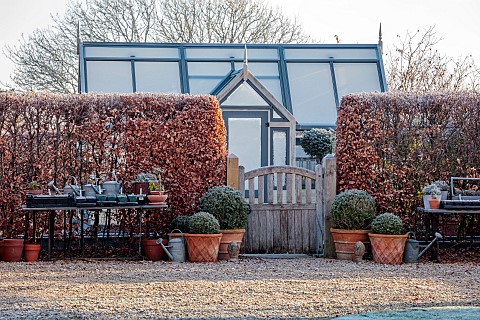 ORDNANCE_HOUSE_WILTSHIRE_COUNTRY_GARDEN_FROST_FROSTY_WINTER_SUNRISE_DAWN_BEECH_HEDGES_HEDGING_GREENH