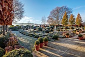 ORDNANCE HOUSE, WILTSHIRE: FROST, FROSTY, WINTER, CLIPPED TOPIARY STANDARDS, PORTUGUESE LAUREL, PRIVET, FORMAL, COUNTRY, GARDEN, PATHS, HEDGES, PYRUS CHANTICLEER