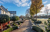 ORDNANCE HOUSE, WILTSHIRE: FROST, FROSTY, WINTER, CLIPPED TOPIARY STANDARDS, PORTUGUESE LAUREL, PRIVET, FORMAL, COUNTRY, GARDEN, LAVENDER, STONE BALLS, GRAVEL, PATHS
