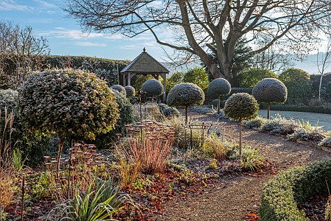 ORDNANCE_HOUSE_WILTSHIRE_FROST_FROSTY_WINTER_BOX_HEDGE_HEDGING_SUMMERHOUSE_FORMAL_COUNTRY_GARDEN_POR