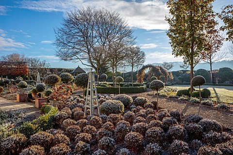 ORDNANCE_HOUSE_WILTSHIRE_FROST_FROSTY_WINTER_HEDGES_HEDGING_CLIPPED_TOPIARY_STANDARDS_PORTUGUESE_LAU
