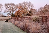 SILVER STREET FARM, DEVON: FROST, FROSTY, WINTER, LAWN, CLIPPED YEW DOME, BORDERS, HEDGES, HEDGING, GRASSES, SEEDHEADS, TREES