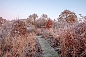 SILVER STREET FARM, DEVON: FROST, FROSTY, WINTER, LAWN, CLIPPED YEW DOME, BORDERS, HEDGES, HEDGING, GRASSES, SEEDHEADS, TREES, PATH