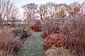 SILVER STREET FARM, DEVON: FROST, FROSTY, WINTER, LAWN, CLIPPED YEW DOME, BORDERS, HEDGES, HEDGING, GRASSES, SEEDHEADS, TREES, GRASS PATH