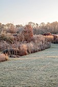 SILVER STREET FARM, DEVON: FROST, FROSTY, WINTER, LAWN, BORDERS, GRASSES, HEDGES, HEDGING, YEW DOME, SEEDHEADS, SEED HEADS, GRASSES, CLIPPED BEECH