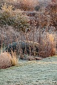 SILVER STREET FARM, DEVON: FROST, FROSTY, WINTER, LAWN, BORDERS, GRASSES, HEDGES, HEDGING, YEW DOME, SEEDHEADS, SEED HEADS, GRASSES, PERENNIALS