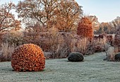 SILVER STREET FARM, DEVON: FROST, FROSTY, WINTER, LAWN, BORDERS, GRASSES, CLIPPED, TOPIARY, BEECH, SEEDHEADS, SEED HEADS, GRASSES, HEDGES, HEDGING