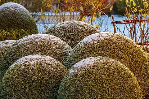 MORTON_HALL_GARDENS_WORCESTERSHIRE_CLIPPED_TOPIARY_BOX_BALLS_BUXUS_SOUTH_GARDEN_FORMAL_WINTER_SNOW_F