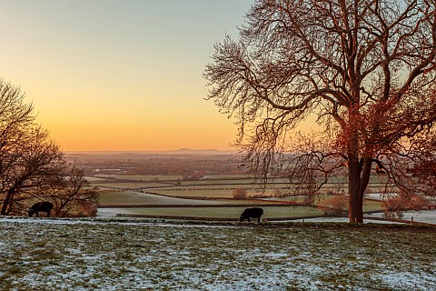 MORTON_HALL_GARDENS_WORCESTERSHIRE_WINTER_WEST_SUNSET_FROST_SNOW_TREES_BORROWED_LANDSCAPE