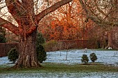 MORTON HALL GARDENS, WORCESTERSHIRE: THE PARK, MEADOW, WINTER, FROST, SNOW, TREES