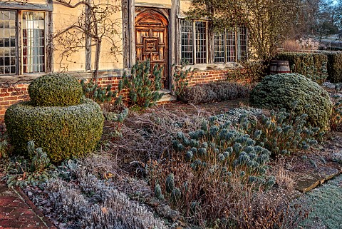 LONG_BARN_GARDENS_KENT_FROST_WINTER_CLIPPED_TOPIARY_HEDGES_EUPHORBIA_BORDERS