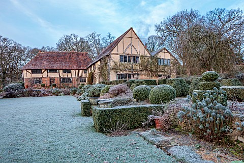 LONG_BARN_GARDENS_KENT_FROST_WINTER_LAWN_HEDGES_HEDGING_BORDERS_CLIPPED_TOPIARY_YEW_EUPHORBIA