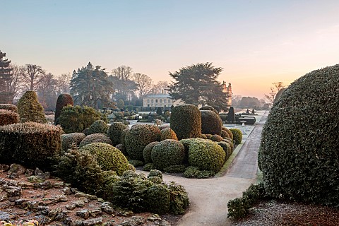 BRODSWORTH_HALL_YORKSHIRE_DAWN_SUNRISE_WINTER_JANUARY_FROST_SNOW_CLIPPED_TOPIARY_HEDGES_HEDGING_EVER