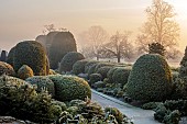 BRODSWORTH HALL, YORKSHIRE: DAWN, SUNRISE, WINTER, JANUARY, FROST, LAWN, CLIPPED TOPIARY SHRUBS, HEDGES, HEDGING, EVERGREENS, VICTORIAN, PATHS, BORDERS, FORMAL, GARDEN