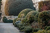 BRODSWORTH HALL, YORKSHIRE: DAWN, SUNRISE, WINTER, JANUARY, FROST, LAWN, CLIPPED TOPIARY SHRUBS, HEDGES, HEDGING, EVERGREENS, VICTORIAN, PATHS, BORDERS, FORMAL, GARDEN, MAHONIAS