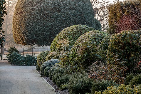 BRODSWORTH_HALL_YORKSHIRE_DAWN_SUNRISE_WINTER_JANUARY_FROST_LAWN_CLIPPED_TOPIARY_SHRUBS_HEDGES_HEDGI