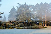 BRODSWORTH HALL, YORKSHIRE: DAWN, SUNRISE, WINTER, JANUARY, FROST, CLIPPED TOPIARY SHRUBS, HEDGES, HEDGING, EVERGREENS, VICTORIAN, PATHS, BORDERS, FORMAL, GARDEN, CEDARS