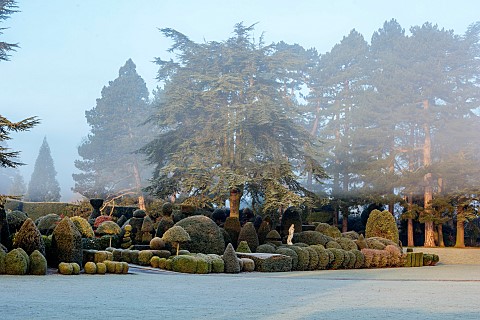 BRODSWORTH_HALL_YORKSHIRE_DAWN_SUNRISE_WINTER_JANUARY_FROST_CLIPPED_TOPIARY_SHRUBS_HEDGES_HEDGING_EV
