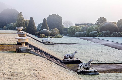 BRODSWORTH_HALL_YORKSHIRE_WINTER_JANUARY_FROST_CLIPPED_TOPIARY_SHRUBS_HEDGES_HEDGING_EVERGREENS_VICT