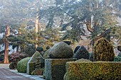 BRODSWORTH HALL, YORKSHIRE: WINTER, JANUARY, FROST, CLIPPED TOPIARY SHRUBS, HEDGES, HEDGING, EVERGREENS, VICTORIAN, PATHS, FORMAL, GARDEN, MIST, FOG, CEDARS, NAHONIA