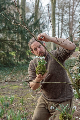 GOLDSBOROUGH_HALL_YORKSHIRE_WINTER_SNOWDROPS_WOODLAND_TREES_SNOWDROP_KOKEDAMA_BEING_ATTACHED_TO_TREE