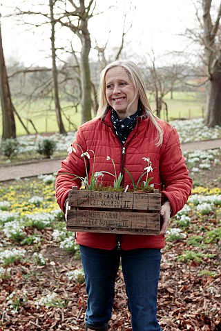 GOLDSBOROUGH_HALL_YORKSHIRE_WINTER_SNOWDROPS_WOODLAND_TREES_OWNER_CLARE_OGLESBY_PLANTING_SNOWDROPS