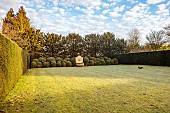 THENFORD ARBORETUM , NORTHAMPTONSHIRE: LAWN, CLIPPED TOPIARY, HEDGES, HEDGING, WINTER, FEBRUARY