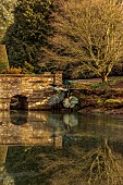 THENFORD GARDENS & ARBORETUM, NORTHAMPTONSHIRE: LAKE, BRIDGE AND THE RILL BEYOND IN FEBRUARY, TREES, WATER, LAKE, WINTER, GIANT GUNNERA SCULPTURE