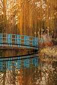 THENFORD ARBORETUM , NORTHAMPTONSHIRE: LAKE, WOODLAND, BLUE WOODEN BRIDGE, WEEPING WILLOW, REFLECTIONS, REFLECTED, WINTER, FEBRUARY