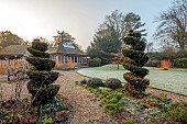 LONGYARD COTTAGE, ESSEX: WINTER, FEBRUARY, MIST, FOG, FOGGY, LAWN, CLIPPED, TOPIARY, SPIRAL, BAY, COTTAGE