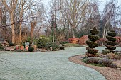 LONGYARD COTTAGE, ESSEX: WINTER, FEBRUARY, MIST, FOG, FOGGY, LAWN, CLIPPED, TOPIARY, SPIRAL, BAY, BORDERS, BEECH HEDGES, HEDGING