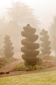 LONGYARD COTTAGE, ESSEX: WINTER, FEBRUARY, MIST, FOG, FOGGY, LAWN, CLIPPED, TOPIARY, SPIRAL, BAY